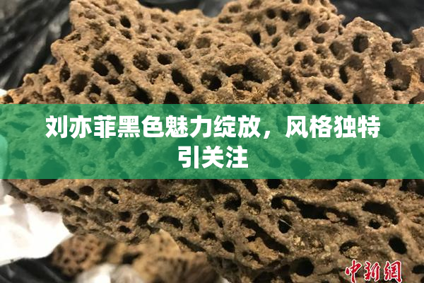 刘亦菲黑色魅力绽放，风格独特引关注