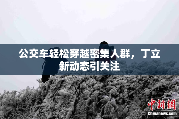 公交车轻松穿越密集人群，丁立新动态引关注