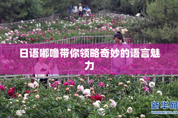 日语嘟噜带你领略奇妙的语言魅力
