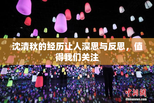 沈清秋的经历让人深思与反思，值得我们关注