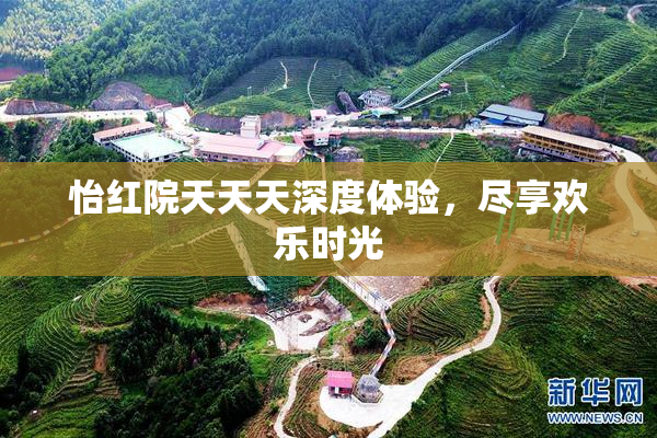 怡红院天天天深度体验，尽享欢乐时光