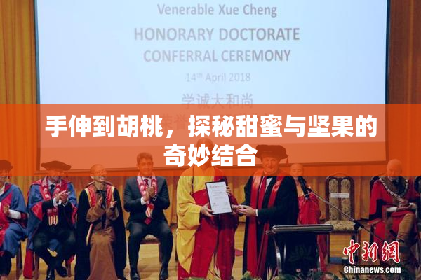 手伸到胡桃，探秘甜蜜与坚果的奇妙结合