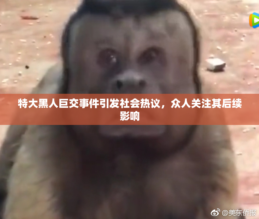 特大黑人巨交事件引发社会热议，众人关注其后续影响