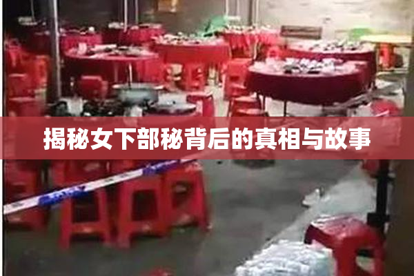 揭秘女下部秘背后的真相与故事