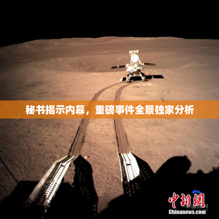 秘书揭示内幕，重磅事件全景独家分析