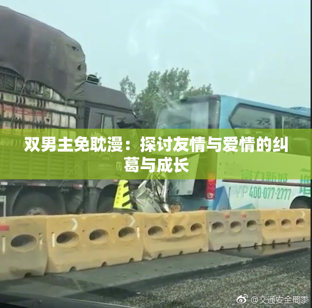 双男主免耽漫：探讨友情与爱情的纠葛与成长