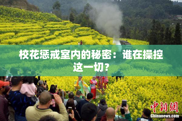 校花惩戒室内的秘密：谁在操控这一切？