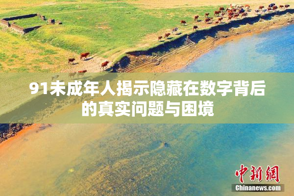 91未成年人揭示隐藏在数字背后的真实问题与困境