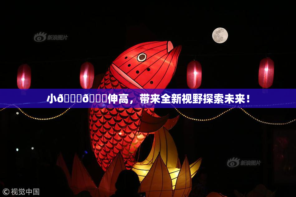小🐔🐔伸高，带来全新视野探索未来！