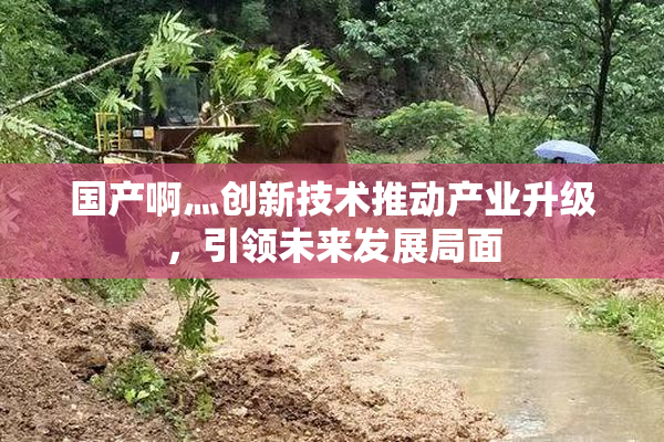 国产啊灬创新技术推动产业升级，引领未来发展局面