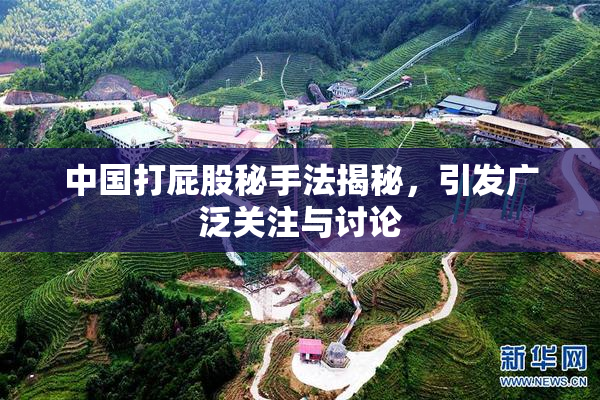中国打屁股秘手法揭秘，引发广泛关注与讨论