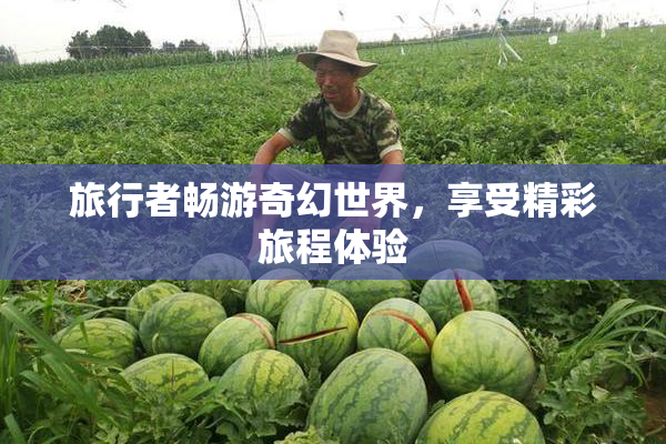 旅行者畅游奇幻世界，享受精彩旅程体验