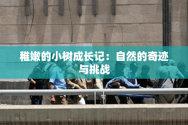 稚嫩的小树成长记：自然的奇迹与挑战