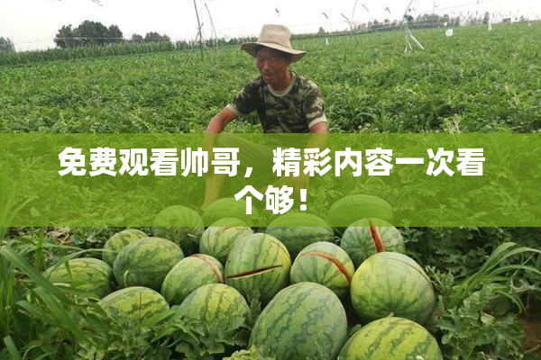 免费观看帅哥，精彩内容一次看个够！