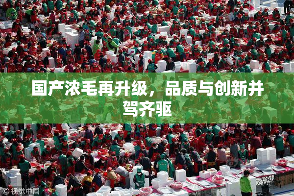 国产浓毛再升级，品质与创新并驾齐驱
