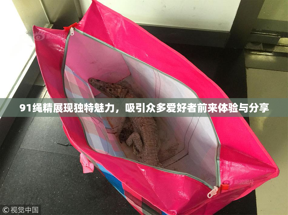 91绳精展现独特魅力，吸引众多爱好者前来体验与分享