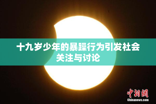 十九岁少年的暴躁行为引发社会关注与讨论