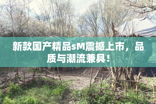 新款国产精品sM震撼上市，品质与潮流兼具！