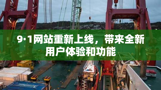 9·1网站重新上线，带来全新用户体验和功能