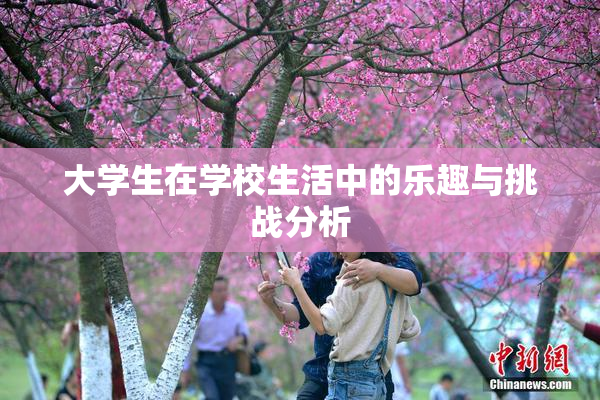 大学生在学校生活中的乐趣与挑战分析