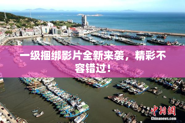 一级捆绑影片全新来袭，精彩不容错过！