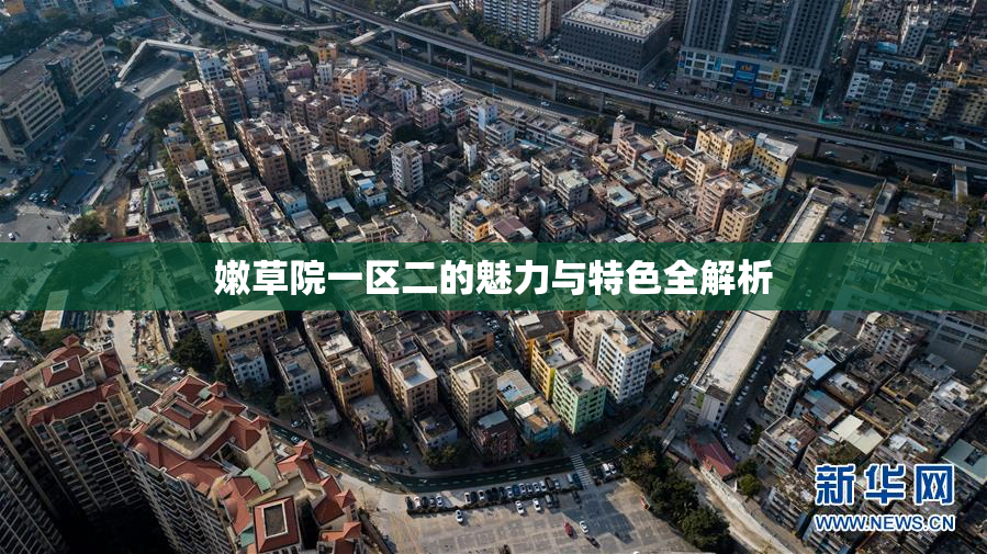 嫩草院一区二的魅力与特色全解析