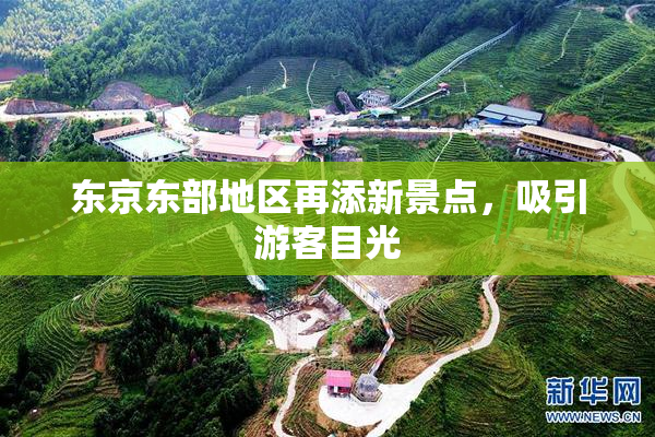 东京东部地区再添新景点，吸引游客目光
