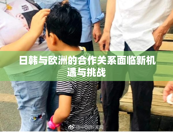 日韩与欧洲的合作关系面临新机遇与挑战