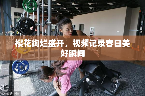 樱花绚烂盛开，视频记录春日美好瞬间