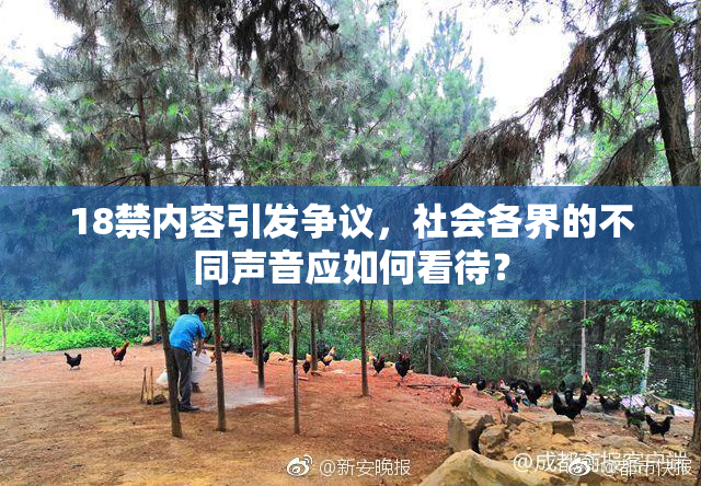 18禁内容引发争议，社会各界的不同声音应如何看待？