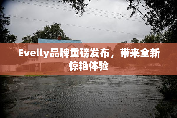 Evelly品牌重磅发布，带来全新惊艳体验