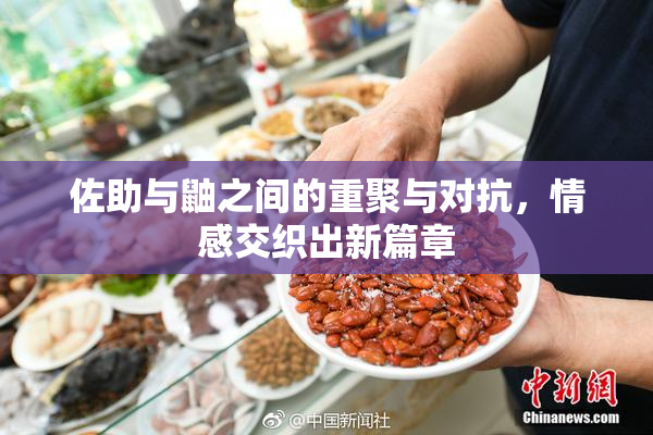 佐助与鼬之间的重聚与对抗，情感交织出新篇章