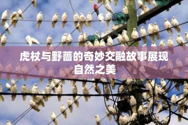 虎杖与野蔷的奇妙交融故事展现自然之美