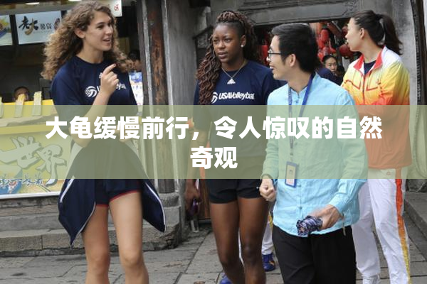 大龟缓慢前行，令人惊叹的自然奇观