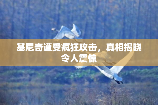 基尼奇遭受疯狂攻击，真相揭晓令人震惊