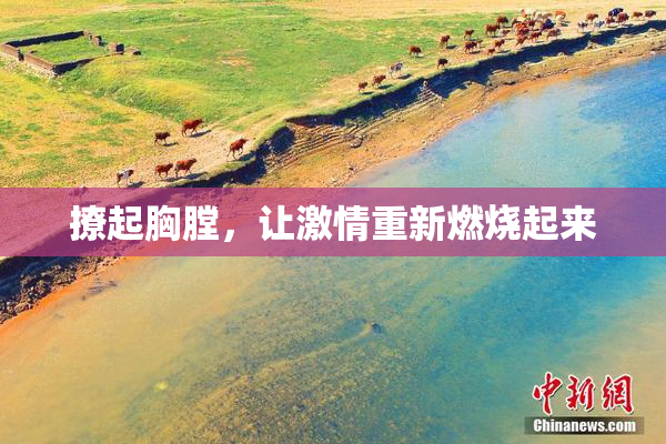撩起胸膛，让激情重新燃烧起来