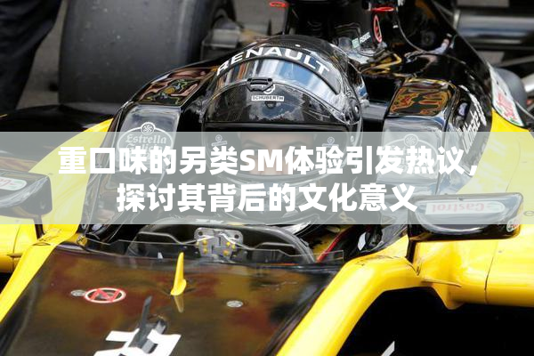 重口味的另类SM体验引发热议，探讨其背后的文化意义