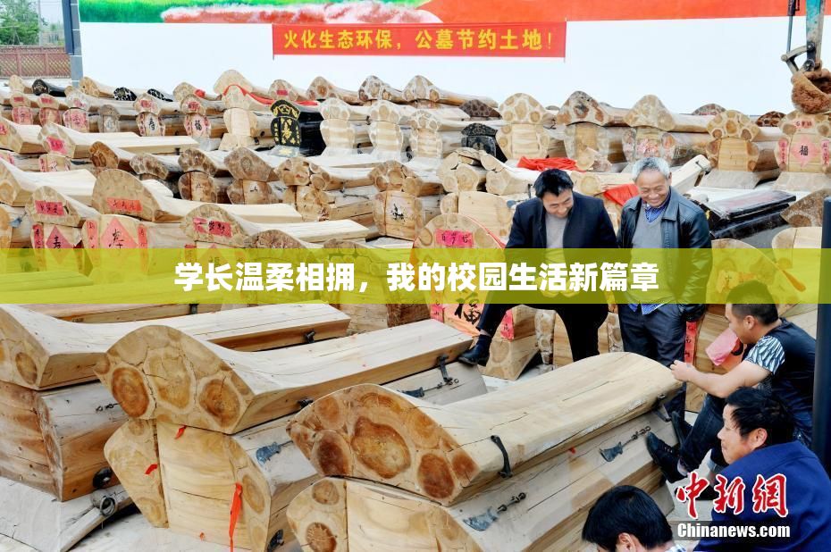 学长温柔相拥，我的校园生活新篇章