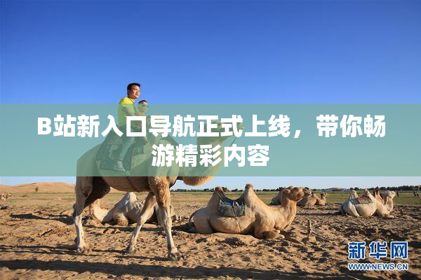 B站新入口导航正式上线，带你畅游精彩内容