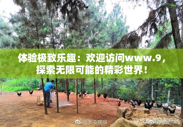 体验极致乐趣：欢迎访问www.9，探索无限可能的精彩世界！