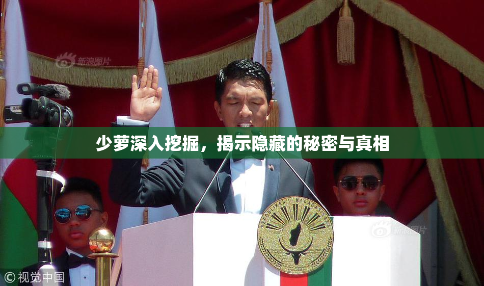 少萝深入挖掘，揭示隐藏的秘密与真相