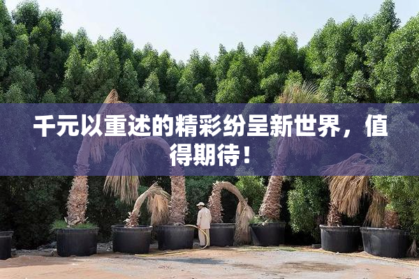 千元以重述的精彩纷呈新世界，值得期待！