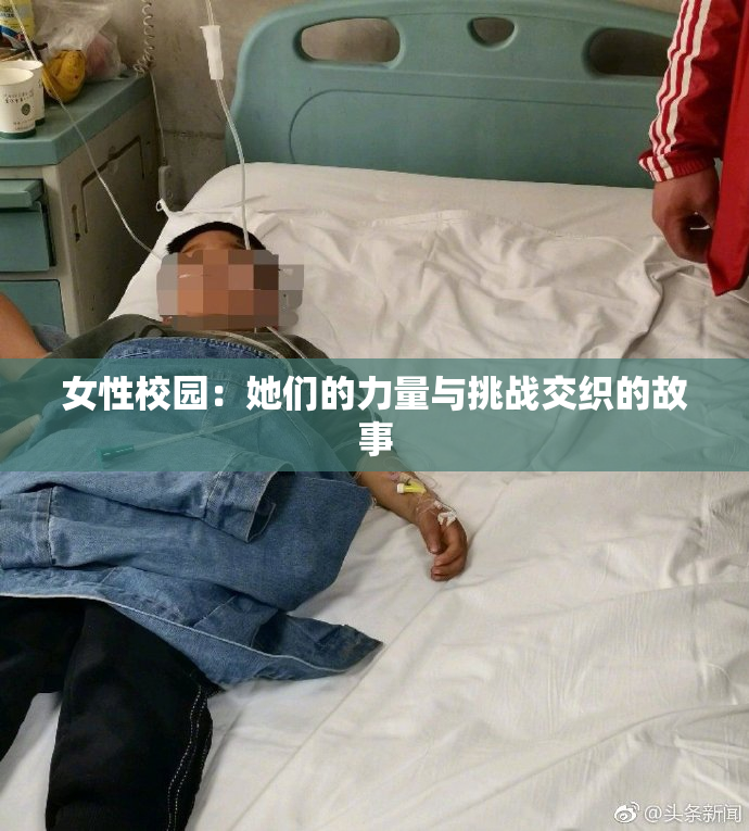 女性校园：她们的力量与挑战交织的故事