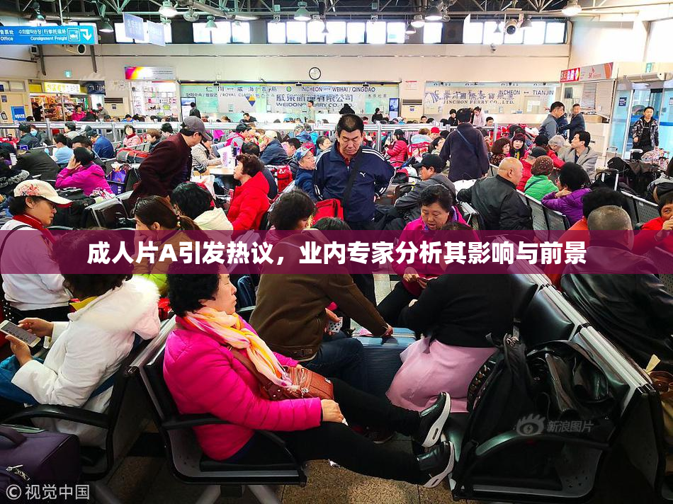 成人片A引发热议，业内专家分析其影响与前景