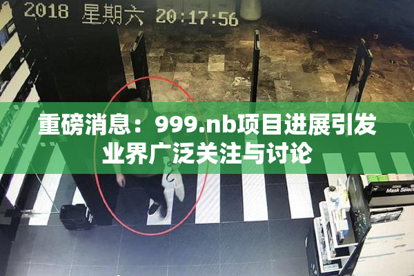 重磅消息：999.nb项目进展引发业界广泛关注与讨论