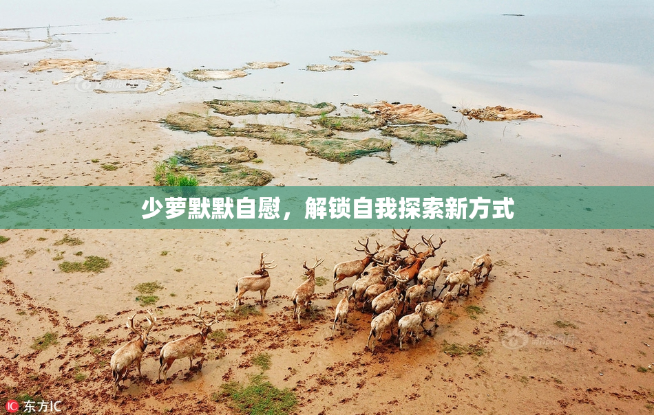 少萝默默自慰，解锁自我探索新方式