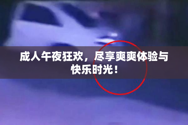 成人午夜狂欢，尽享爽爽体验与快乐时光！