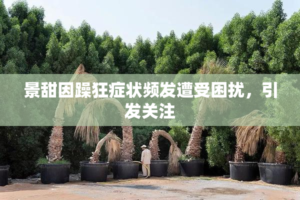 景甜因躁狂症状频发遭受困扰，引发关注
