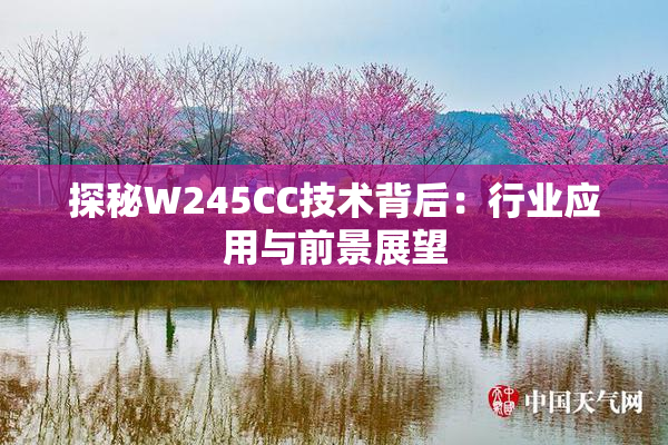 探秘W245CC技术背后：行业应用与前景展望