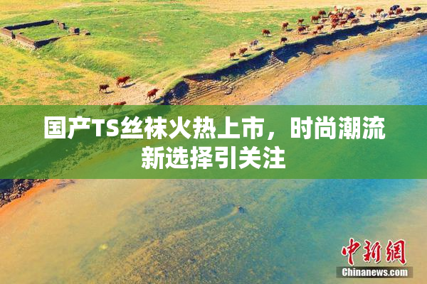 国产TS丝袜火热上市，时尚潮流新选择引关注